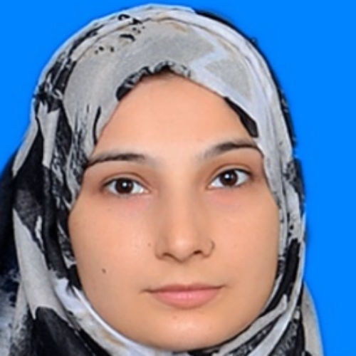 Mehwish Hassan
