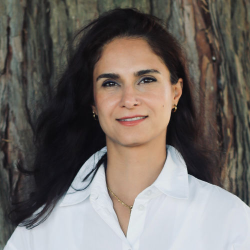 Negar Amini