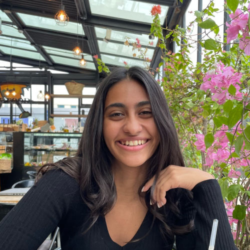 Alia El-Shafei