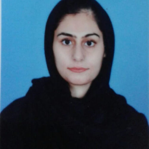 Zarwa Tariq