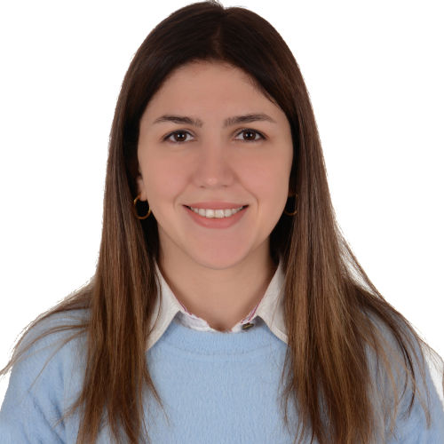 Serra Bicici