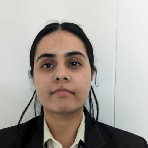 Fiza Malik