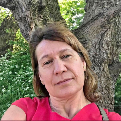 Laura H Bertha