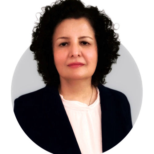 Beena Naqvi