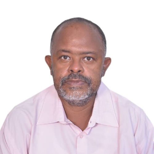 Izzaldin Ali Hadabay Elamin