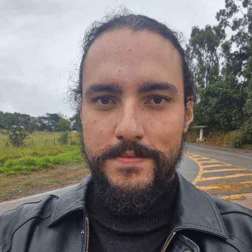 Matheus Felipe Mendes de Sa e Silva